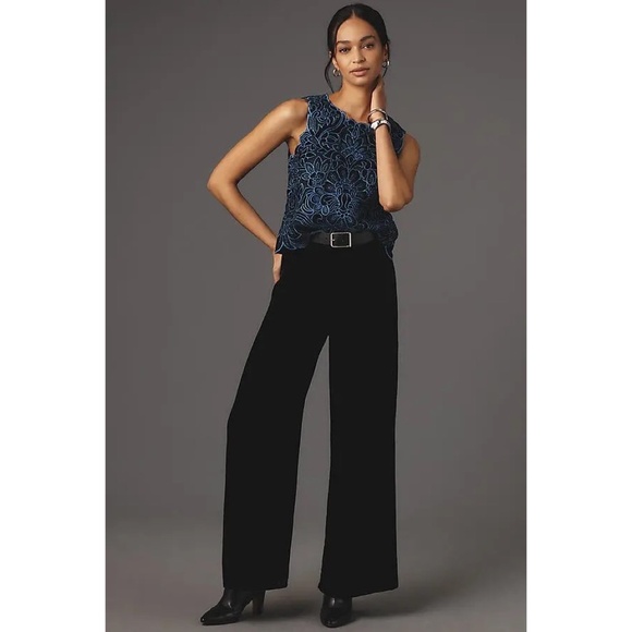 NWT!! ANTHROPOLOGIE Lainie Velvet Lace Cutwork Sleeveless Top Blouse X-Large - Picture 5 of 16